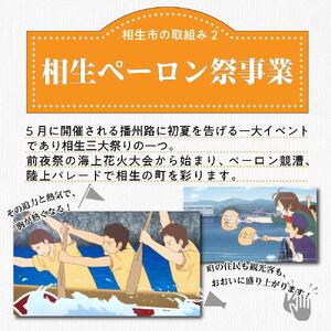 【返礼品なし】兵庫県相生市への寄付（3,000円分）