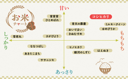 【令和5年福井県若狭町産】 コシヒカリ 1等米 精米10kg お米ブランド米 コシヒカリ