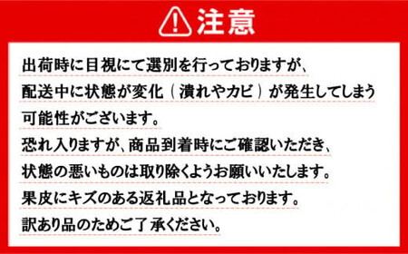 訳あり 愛南ゴールド ( 河内晩柑 ) 7kg 樹齢30年 木成り 完熟 柑橘 みかん 和製 グレープフルーツ 傷 不揃い 規格外 常温 愛南町青果市場 愛媛県 発送: 7月下旬?なくなり次第終了