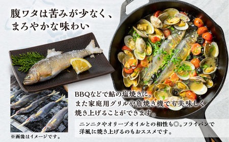 白川村産 飛騨庄川の天然鮎 12尾 18cm以上 鮎 天然 あゆ 魚 岐阜県 白川郷 世界遺産 塩焼き BBQ 30000円 [S512_12bi]