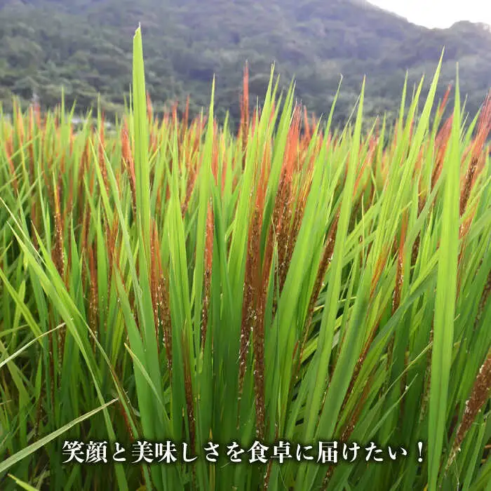 糸島産赤米（5分づき） 糸島市 / Carna [ALA053] 雑穀米 雑穀