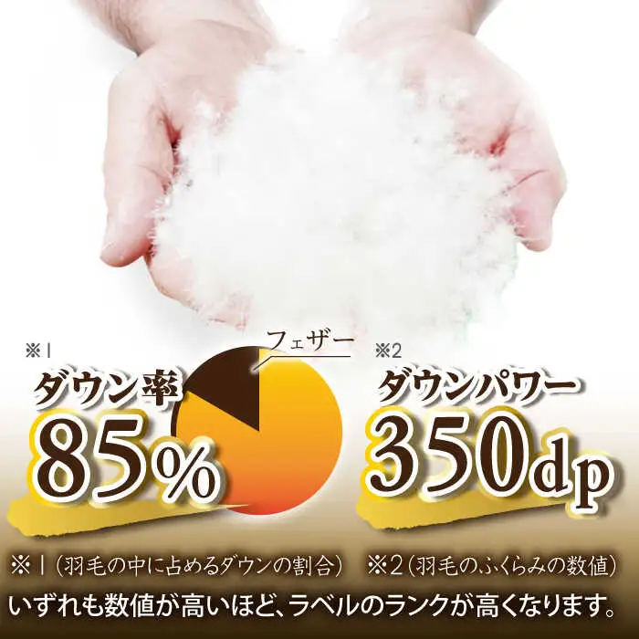 【お中元対象】【訳あり】【 糸島 羽毛 ふとん 】羽毛 布団 柄おまかせ ダウン85％【ダブル】糸島市 / 株式会社三樹  [AYM005] 本掛け 羽毛布団