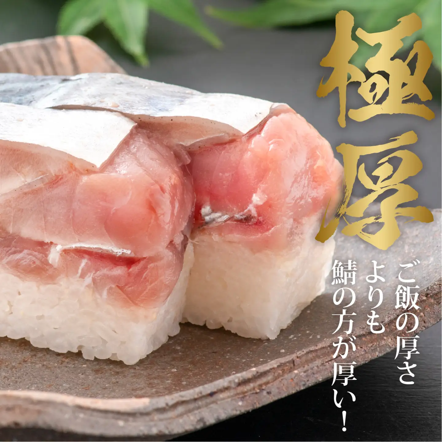 極厚！福井の生さば寿司 贅沢な 鯖寿司 をご自宅で [A-013010] 鯖