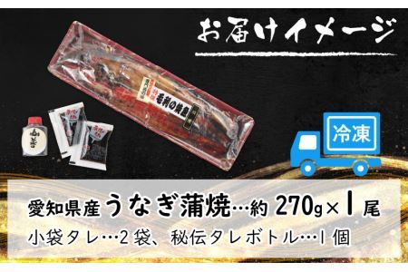 国産 活うなぎ蒲焼 約270g×1尾 [A-124002] 