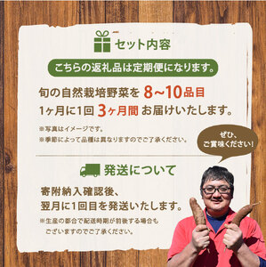 【3ヶ月定期便】百笑オーガニック野菜セット（8～10品目）（KAG-2）