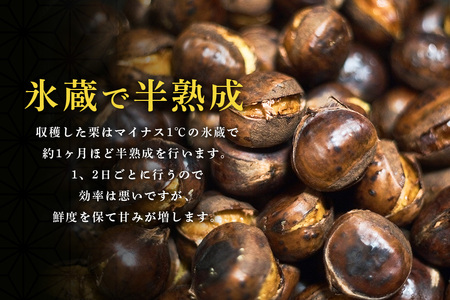 倉方甘栗の焼き栗 900g 11月以降発送 栗 和栗 くり 焼栗 自然 倉方 甘栗 果物 フルーツ 日本 国産 茨城 茨城県産 秋 冬 55-B