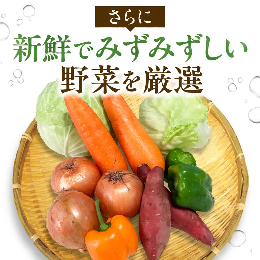 東近江市産 野菜セット JAグリーン近江 滋賀県 東近江市 A14 新鮮 旬 詰め合わせ 産地直送 有機野菜 厳選 お取り寄せ