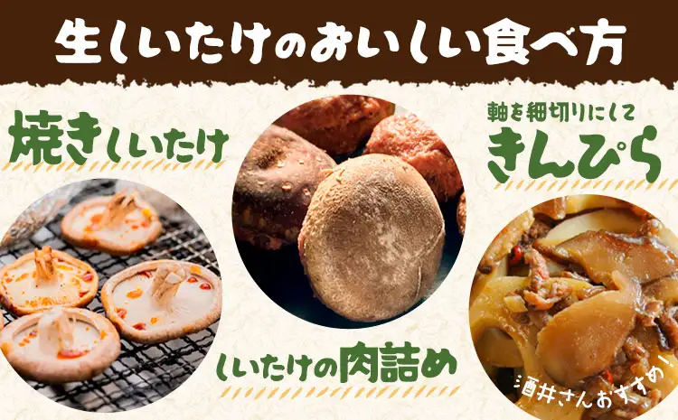 阿蘇・産山村産 原木生しいたけ 小玉900g(150g×6袋) 椎茸 しいたけ 生しいたけ しいたけのさかい 《6月中旬-11月下旬頃出荷》原木生しいたけ 贈答 ギフト お中元 お歳暮 熊本 阿蘇 産山村 送料無料 