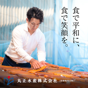 ＜訳あり＞国産特大あじの開き(計20枚以上) 干物 魚介 【AW-22】【丸正水産】