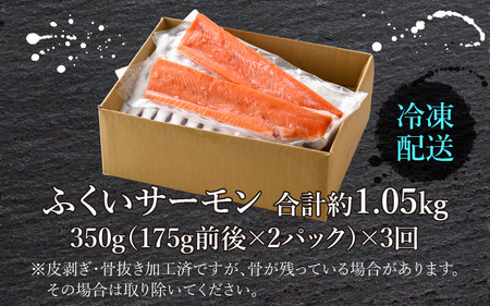 【定期便3回コース】ふくいサーモン（刺身用）真空冷凍　350g（175g × 2パック） × 3回 合計約1.05kg