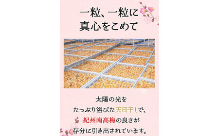 そのまんま白干梅 A級品 計1kg（250g×4個） / 梅干し 梅干 梅 和歌山 和歌山県産 田辺市 紀州南高梅 南高梅 白干し梅 無添加 しょっぱい梅干し 昔ながらの梅干し なつかしい A級【kfo007-1】