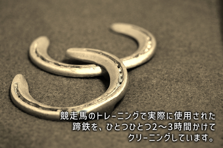 馬 蹄鉄 フラワーアート 約 17cm サラブレット 競走馬 蹄鉄 馬蹄 フラワーアート 飾り フラワー アート