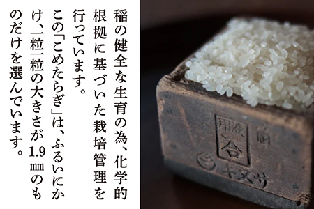 【R6年 新米 定期便全6回】隔月配送 多良木町産 こめたらぎ にこまる 10kg × 6ヶ月 合計60kg 【 白米 精米 熊本県 多良木町 自然 豊か グランプリ 農家 多良木のびる 】 044-0584-b