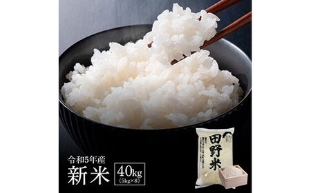 令和5年産  田野米  40kg （ 5kg × 8袋 ） ～ 精米 ・ 白米 ～