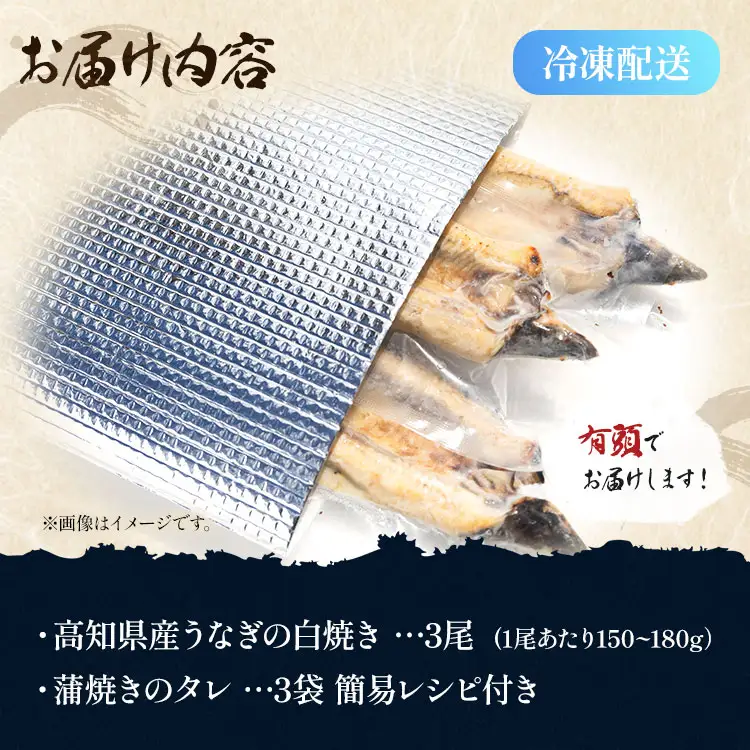 うなぎ白焼き 高知県産うなぎの白焼き 150～180ｇ×3尾 早い スピード発送 7日程度 早く届く スピード配送 【うなぎ 惣菜 うなぎ おかず うなぎ 国産 うなぎ 高知県産 うなぎ 人気 うなぎ おすすめ】 yw-0115