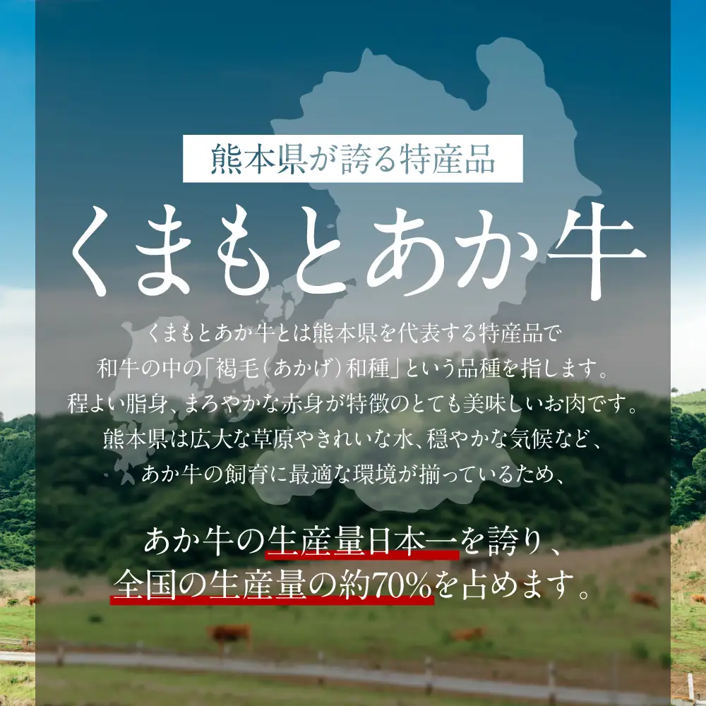 あか牛カルビ焼き肉セット (あか牛バラカルビ400g、あか牛のたれ200ml付き)