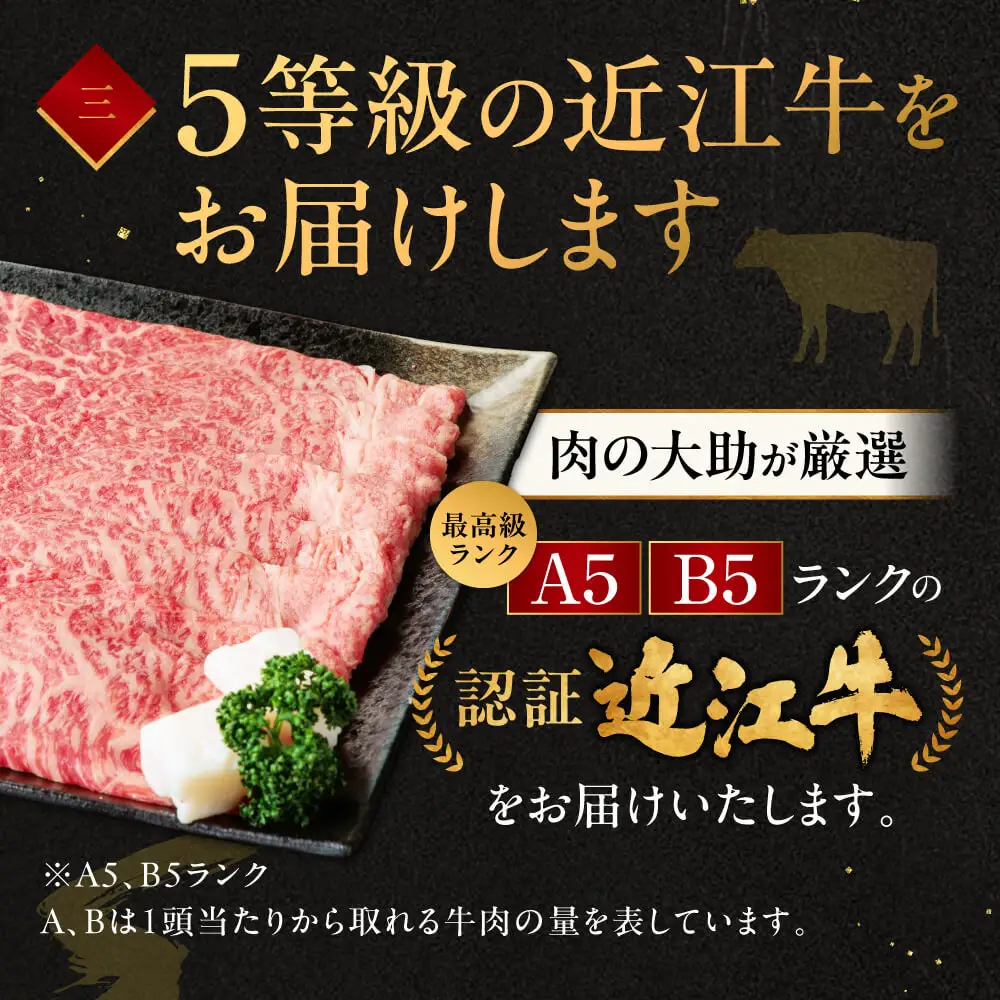近江牛ロースすき焼き 600g 3～4人前 肉の大助 滋賀県 東近江市 C-E14 和牛 牛肉 すき焼き すきやき ロース肉 霜降り A4 A5ランク 高級 ブランド牛