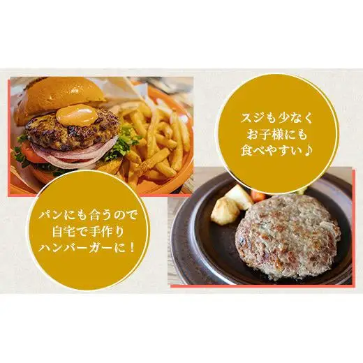 ミルミル和牛 石垣島ハンバーグ 10個入り（合計1.5kg） Z-5