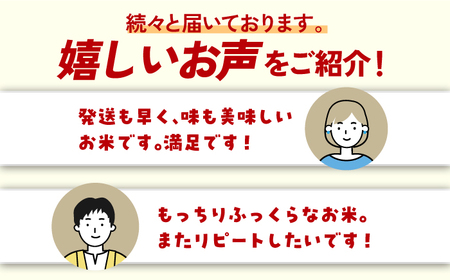 〈受付一時停止中〉【令和5年産】無洗米 特A評価！さがびより 4kg（2kg×2袋）吉野ヶ里町/増田米穀[FBM039]