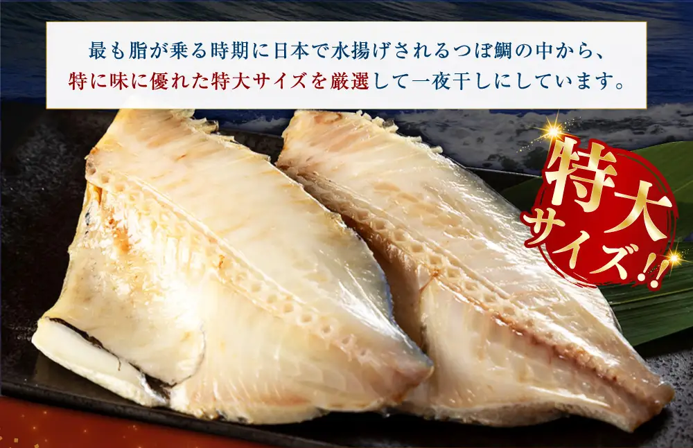 釧之助 極旨つぼだい半身150g×5パック セット 北海道 釧路 ふるさと納税 つぼ鯛 鯛 一夜干し干物 魚 魚介 海産物 高級魚 F4F-8424