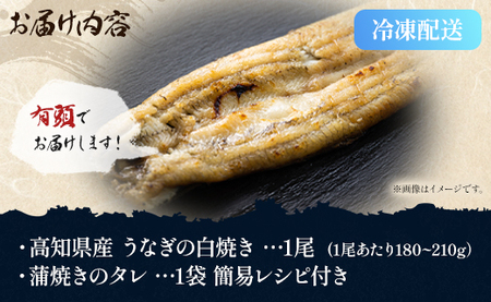 高知県産うなぎ 白焼き 180～210g×1尾 白焼き yw-0062