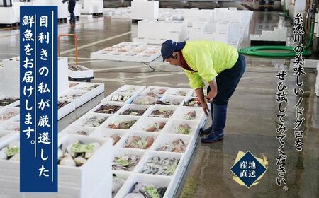 【2026年8月以降発送】天然のどくろ (アカムツ) 3尾 約1kg 先行予約 鮮度抜群！水揚げ直後に発送 高級魚 生 刺身 煮付け 下処理可能 魚正 日本海 刺身 ノドグロ のどぐろ 赤ムツ