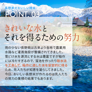 米 10kg コシヒカリ 令和7年産 JA上伊那 コシヒカリ 今ずり米 5kg 2袋 【034-10】