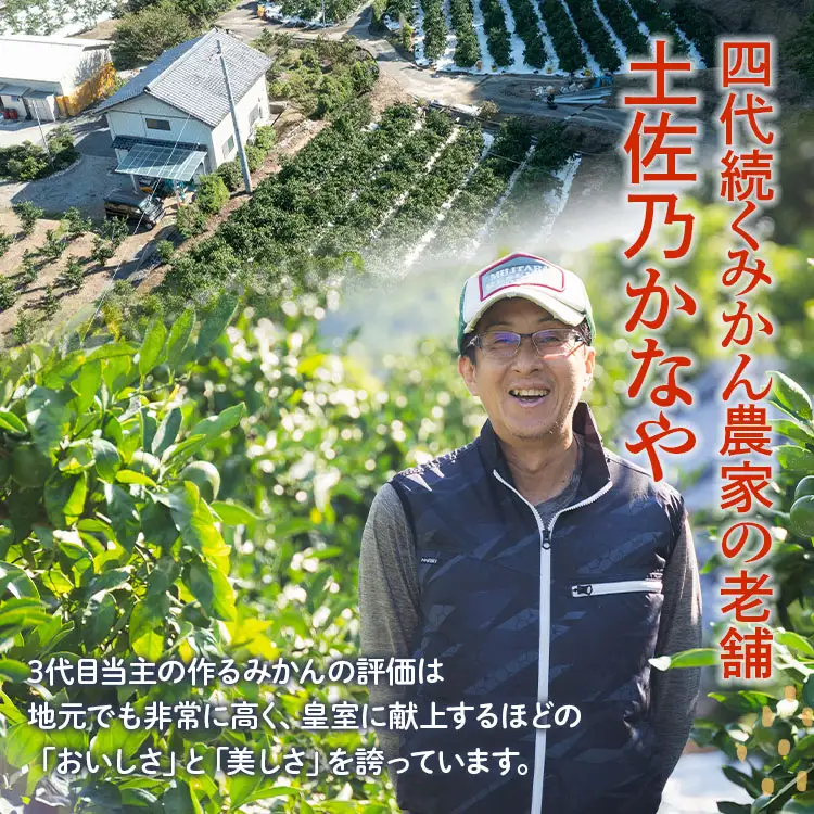 【2026年9月より順次配送】訳あり グリーンみかん 約5kg みかん be-0111