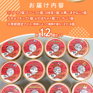 製造直売で人気の手作りアイスクリーム12個セット