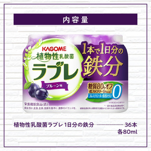 植物性乳酸菌ラブレ 1日分の鉄分36本 [052S05]