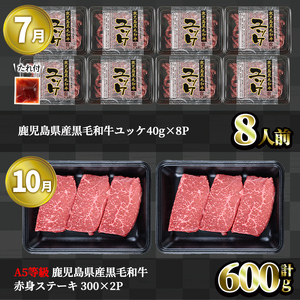 ＜定期便・全4回＞ お試し 黒毛和牛 定期便 国産 鹿児島県産  【LRプラスK】T9-v01