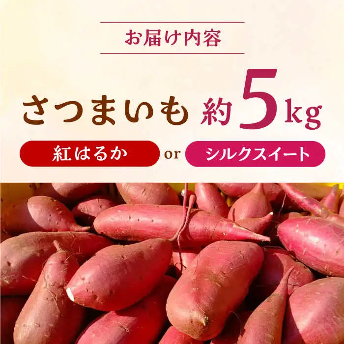 先行予約 紅はるかorシルクスイート蜜芋5kg サツマイモさつまいも ZCN013