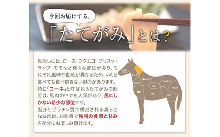 熊本 馬刺し 上赤身 ブロック 国産 熊本肥育 冷凍 生食用 たれ付き
