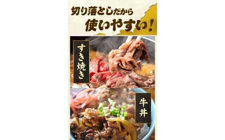 3ヶ月定期便 あか牛 切り落とし 1kg 五右衛門フーズ 《お申込み月の翌月から出荷開始》 熊本県 球磨郡 山江村 牛肉 肉 国産 熊本県産 ブランド牛 絶品 贅沢 高級 あか牛 定期便 st-p