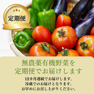 【 定期便 12回 】生命の農法（ 無化学農薬 ・ 無化学肥料栽培 ） 季節 の 野菜 セット | 慈光会自然食品販売所 