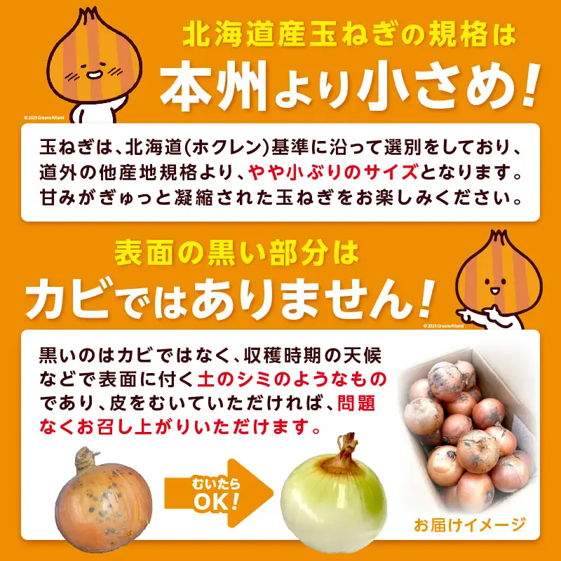 【隔月3回(11月・1月・3月)定期便】JAきたみらいから直送する新鮮玉ねぎ 10kg Lサイズ以上 ( 野菜 定期便 玉葱 たまねぎ )【999-0014-2026】