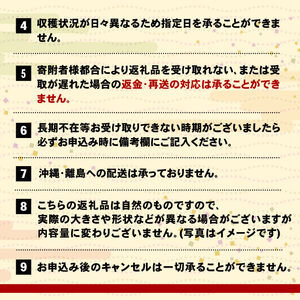 【先行予約】 さんま 15尾 冷蔵