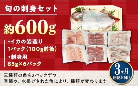 【全3回定期便】対馬 イカ 姿造り と 刺身 の セット 新鮮 海鮮 いか 冷凍 刺身 ケンサキイカ[WAK013]