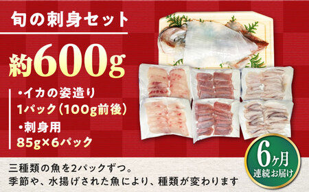 【全6回定期便】対馬 イカ 姿造り と 刺身 の セット 新鮮 海鮮 いか 冷凍 刺身 ケンサキイカ [WAK014]