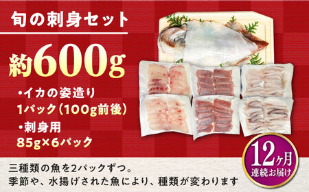 【全12回定期便】対馬 イカ 姿造り と 刺身 の セット 新鮮 海鮮 いか 冷凍 刺身 ケンサキイカ [WAK015]