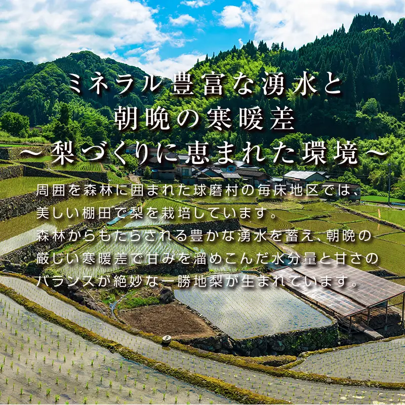  FKP9-717 【先行予約】里山の恵み梨（約2.5kg）