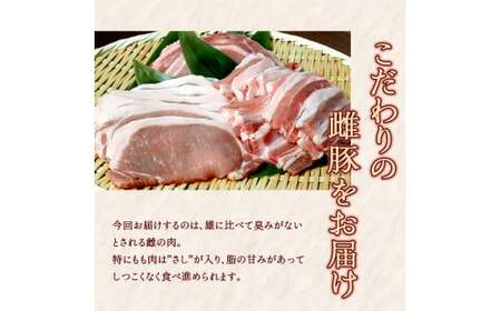  ≪6ヵ月定期≫一勝地赤豚しゃぶしゃぶセット（1kg） FKP9-462