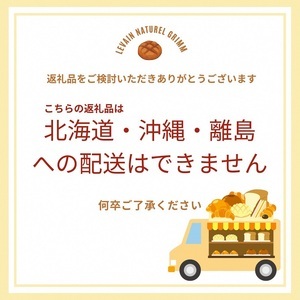 【隔週4回定期便】天然酵母パンお楽しみセット パンパンパンパン