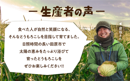 《先行予約》 極甘とうもろこし 8～10本 鮮度保持袋入り とうもろこし