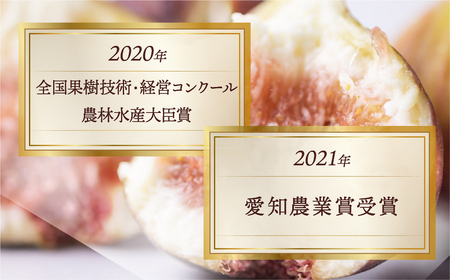 【定期便】《2027年発送》 完熟 いちじく 9-12玉 ［極］大玉 定期便 3カ月