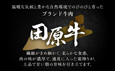 【プレミアム】至極の田原牛 赤身 ローストビーフ 300g 牛肉 カット済 ブランド牛 タレ ソース 付き クリスマス 年末 パーティー お祝い 高級 人気 小分け 国産牛 国産 田原牛 愛知県 田原市 