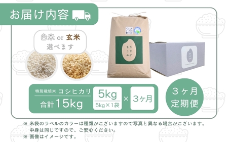 【先行予約】【令和7年産】 定期便 ≪3ヶ月連続お届け≫ 乳酸菌入りの土壌で育てた 福井県 坂井町産 特別栽培米コシヒカリ 5kg (白米) 【2025年10月上旬以降順次発送予定】 [C-4806_01]