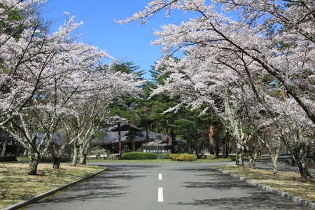 富士桜カントリー倶楽部 2026年シーズン利用券30,000円 NSL016