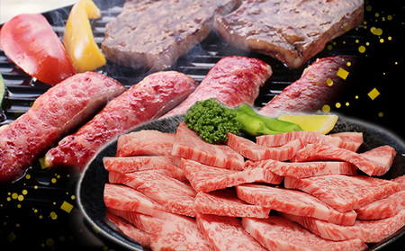 飛騨牛焼肉セット ロース カルビ A5 和牛 飛騨牛焼肉セット【計1kg】