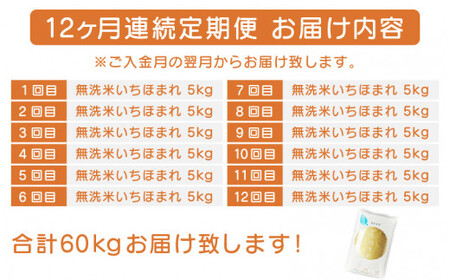 [051-l001] 定期便 無洗米  いちほまれ 5kg × 12回